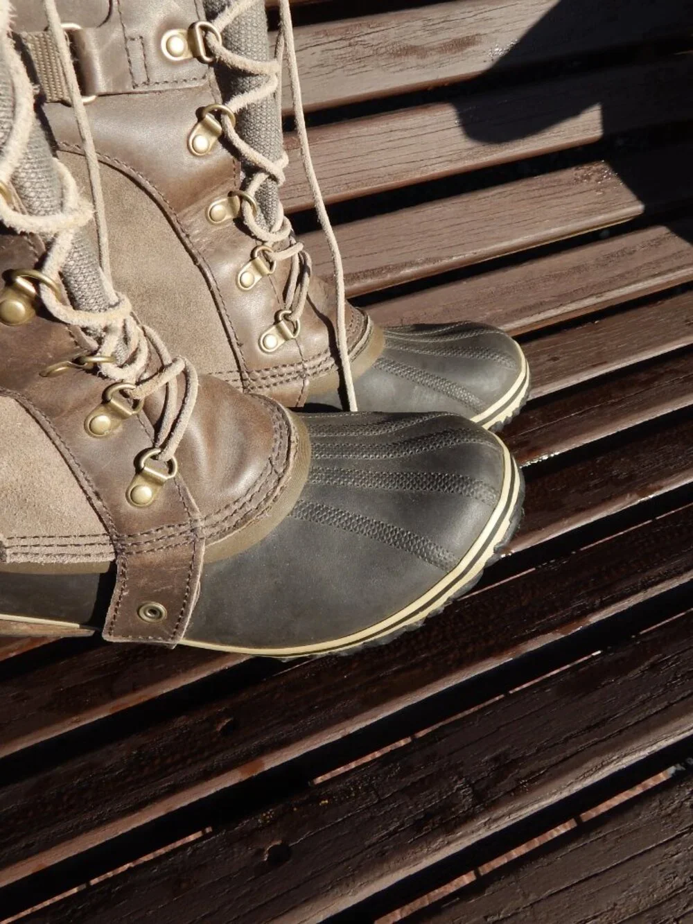 Sorel conquest carly